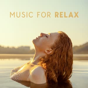 Music For Relax: Chill Vibe After Hard Day - Longhero Records