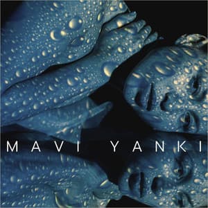 Mavi Yankı: Ayışığı Damlaları, Doğanın Nefesi - Doğanın Müziği