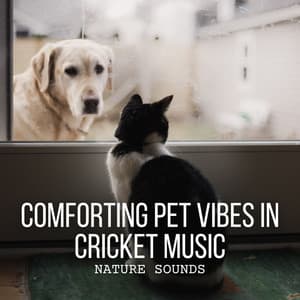 Nature Sounds: Comforting Pet Vibes in Cricket Music - Cricket Sounds & Nature Sounds Collabo & Zen Master