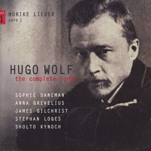 Wolf: The Complete Songs, Vol. 1 - Hugo Wolf