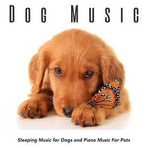 Dog Music: Sleeping Music for Dogs and Piano Music For Pets - Dog Music