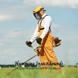 Humming Insect Sounds: Enjoy Nature's Chill Work Music - Northerly Nature