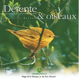 Chlorophylle 5 : Détente & oiseaux - Relaxing Zen Nature
