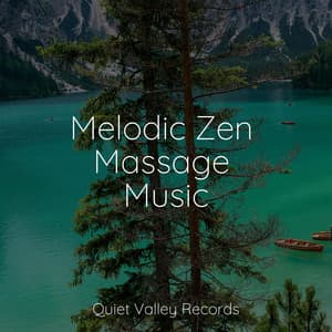 Melodic Zen Massage Music - Rainfall