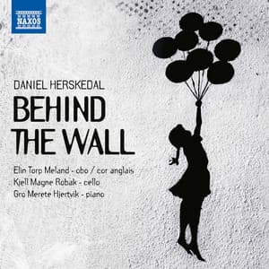Behind the Wall - Daniel Herskedal