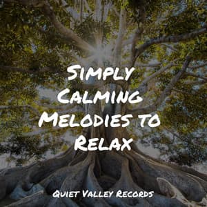 Simply Calming Melodies to Relax - Wellness