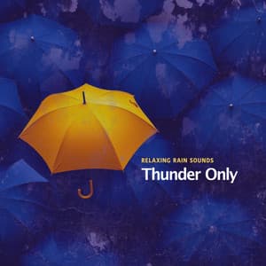 Thunder Only - Relaxing Rain Sounds