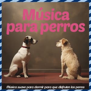 Música para perros: música suave para dormir para que disfruten los perros - Relaxmydog