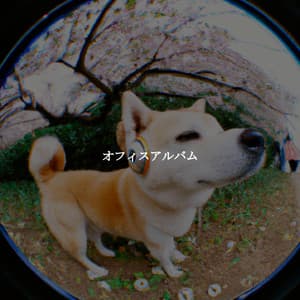 オフィスアルバム - Calming Dog Jazz