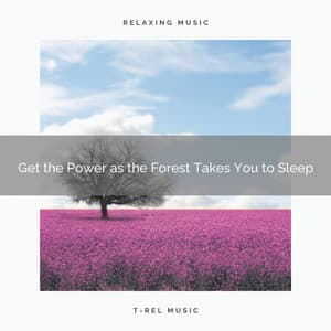Get the Power as the Forest Takes You to Sleep - Non-stop Nature Channel