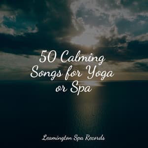 50 Calming Songs for Yoga or Spa - Brain Study Music Guys