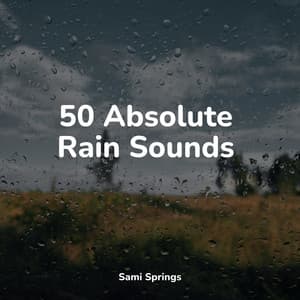 50 Absolute Rain Sounds - Relaxamento