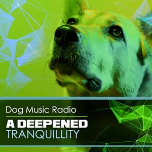 A Deepened Tranquillity - Dog Music Radio