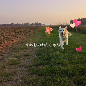 おねむのわんちゃん - Soft Jazz & Coffee