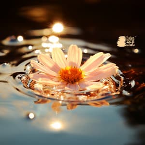 Luce riposante - Relax musica zen club