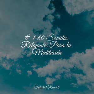 # 1 60 Sonidos Relajantes Para la Meditación - Canciones de Cuna Relax