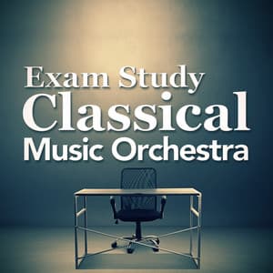 Exam Study Classical Music Orchestra - Concentration Music Ensemble