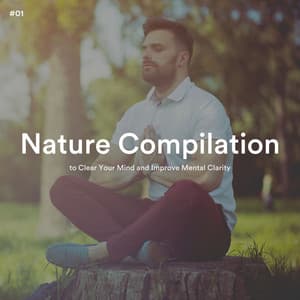 #01 Nature Compilation to Clear Your Mind and Improve Mental Clarity - Healing Guru