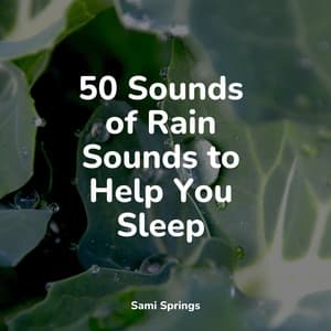 50 Sounds of Rain Sounds to Help You Sleep - White Noise Sound Garden