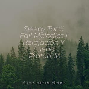 Sleepy Total Fall Melodies | Relajación Y Sueño Profundo - Dulces Sueños