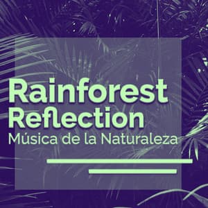 Rainforest Reflection - Música de la Naturaleza