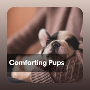 Comforting Pups - Dog Music Therapy