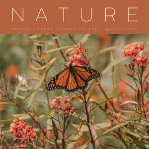 Nature: Serene Forest Sounds To Seek Inner Peace - Ultimate Reiki