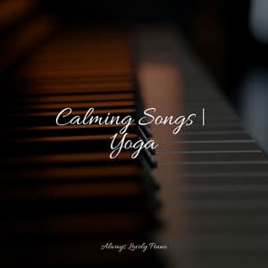 50 Songs for Calm and Relaxation - Piano para Dormir