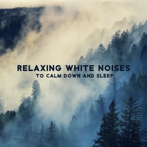 Relaxing White Noises to Calm Down and Sleep - Keith Noise