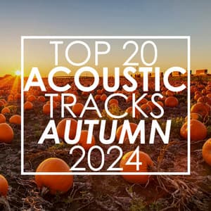 Top 20 Acoustic Tracks Autumn 2024 - Guitar Tribute Players
