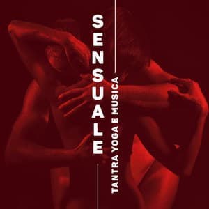 Tantra Yoga e Musica Sensuale per il Rilassamento Curativo del Corpo: Puro Relax - Musica tantrica consort