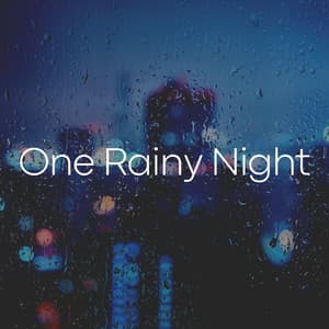 One Rainy Night - Ambient Rain