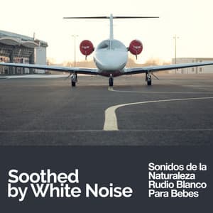 Soothed by White Noise - Sonidos de la Naturaleza Rudio Blanco Para Bebes