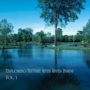 Exploring Nature with River Birds Vol. 1 - Sounds of Nature Noise