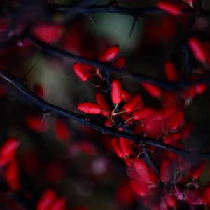 რელაქსაცია - Music for sex