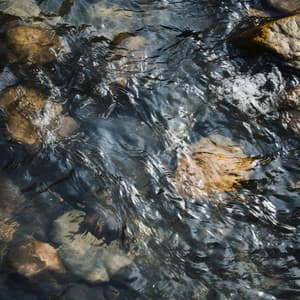 Melodías Del Flujo Del Río: Música Tranquila Cerca De Corrientes Tranquilas - Música para plantas
