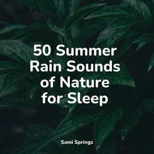 50 Summer Rain Sounds of Nature for Sleep - Kinderlieder Megastars