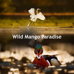 Wild Mango Paradise - Nature's Mirror