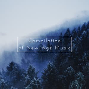 Compilation of New Age Music: 15 Relaxing Sounds Perfect for Better Sleep, Deep Meditation, Yoga Training, Reduce Stress, Spa, Healing Rain Drops & Waves Tones, Harmony & Balance Nature Sounds, Instrumental Melodies - Fabricantes De Lluvia