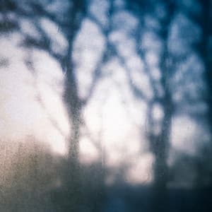 Quiet Memories for Now and Tomorrow - Byelti