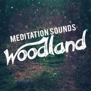 Meditation Sounds: Woodland - Nature Sounds Meditation