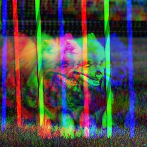 Backdrop for Mellow Pooches - Quiet Jazz Quintet - Dog Calming Music