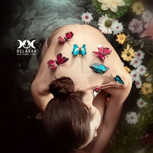 Bem-aventurança do Corpo e da Alma - Relaxar Meditação Clube