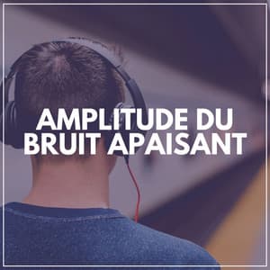 Amplitude du Bruit Apaisant - Bruit Blanc