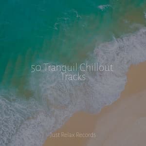 50 Tranquil Chillout Tracks - Guided Meditation