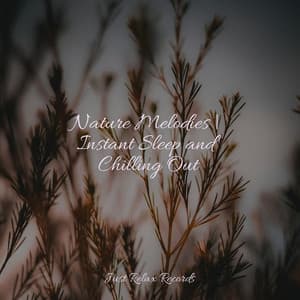 Nature Melodies | Instant Sleep and Chilling Out - Deep Sleep Relaxation