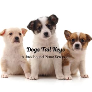 Dogs Tail Keys: A Jazz Hound Piano Serenade - Classic Jazz Piano