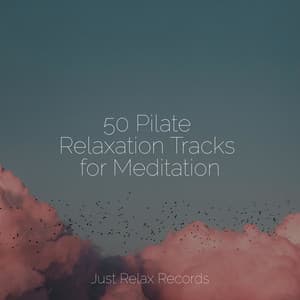 50 Pilate Relaxation Tracks for Meditation - Meditation Awareness