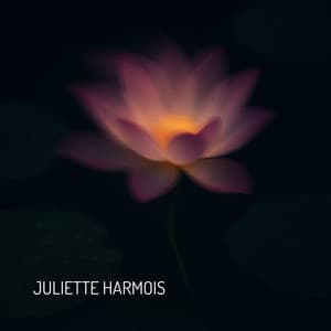 L'éveil dans l'obscurité - Juliette Harmois