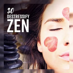 30 Destressify Zen - Meditation Time Zone